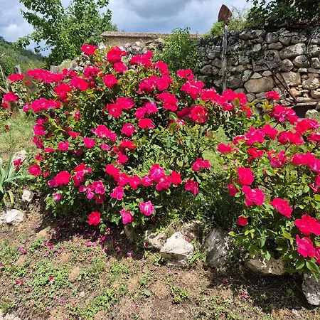 Dimora Dei Baldi - & Relax