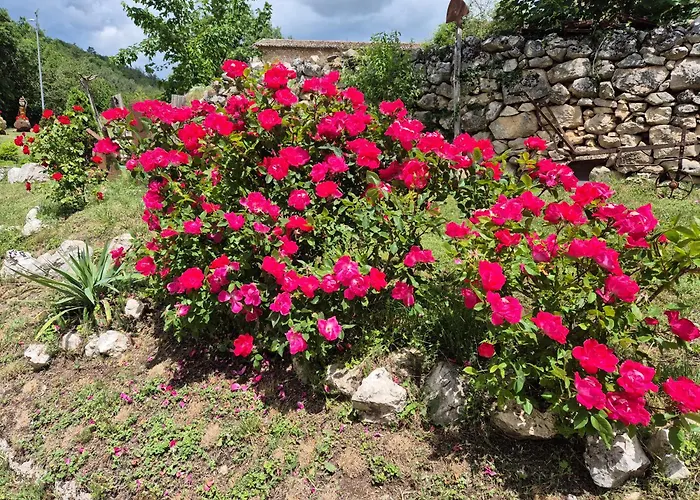 Dimora Dei Baldi - & Relax